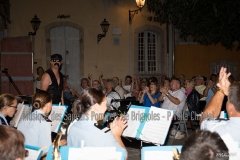MUSEE BRIGNOLES (6)